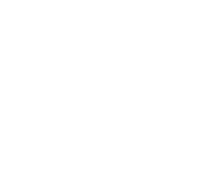 system